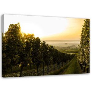 Feeby Obraz na płótnie Zielona winnica 120×80 409677 Feeby Obraz na płótnie Zielona winnica 120×80 409677