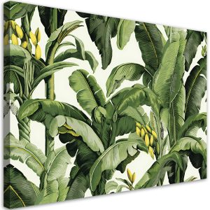 Feeby Obraz na płótnie, Zielone liście bananowca 90×60 422791 Feeby Obraz na płótnie, Zielone liście bananowca 90×60 422791