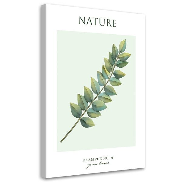 Feeby Obraz na płótnie, Zielone liście - Natura 70x100 418420