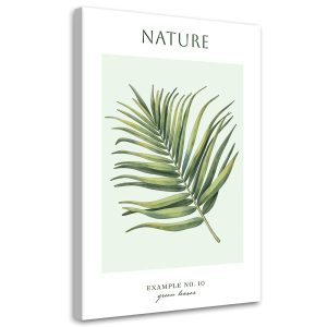 Feeby Obraz na płótnie, Zielone liście – Natura 70×100 416698