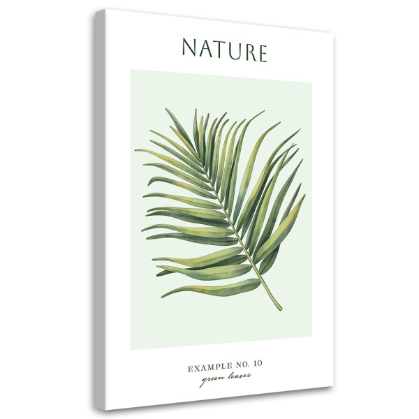 Feeby Obraz na płótnie, Zielone liście - Natura 70x100 416698