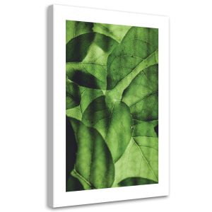 Feeby Obraz na płótnie, Zielone liście w skali makro 80×120 419738 Feeby Obraz na płótnie, Zielone liście w skali makro 80×120 419738