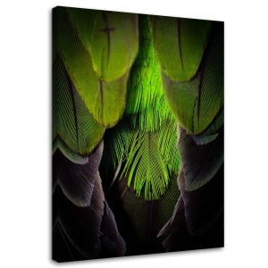 Feeby Obraz na płótnie Zielone pióra 60×90 409730 Feeby Obraz na płótnie Zielone pióra 60×90 409730
