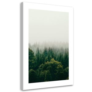 Feeby Obraz na płótnie, Zielony las we mgle 70×100 421279 Feeby Obraz na płótnie, Zielony las we mgle 70×100 421279