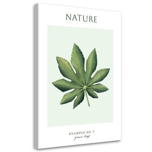 Feeby Obraz na płótnie, Zielony liśc – Natura 60×90 422521 Feeby Obraz na płótnie, Zielony liśc – Natura 60×90 422521