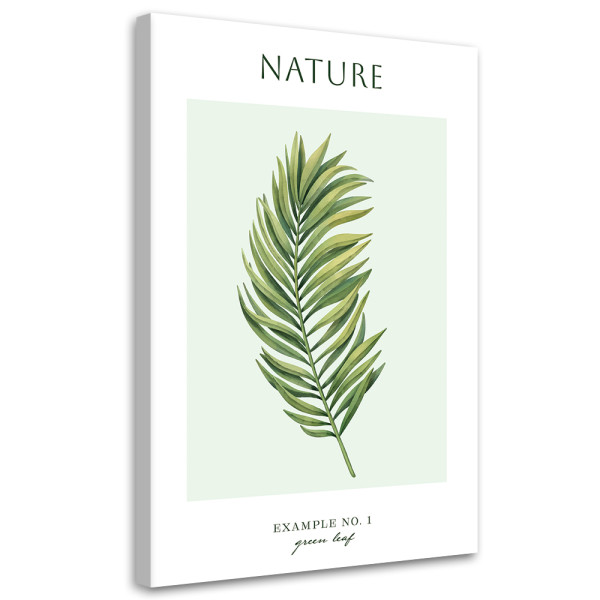 Feeby Obraz na płótnie, Zielony liść - Natura 60x90 423551