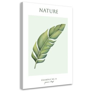 Feeby Obraz na płótnie, Zielony liśc – Natura 70×100 423946 Feeby Obraz na płótnie, Zielony liśc – Natura 70×100 423946