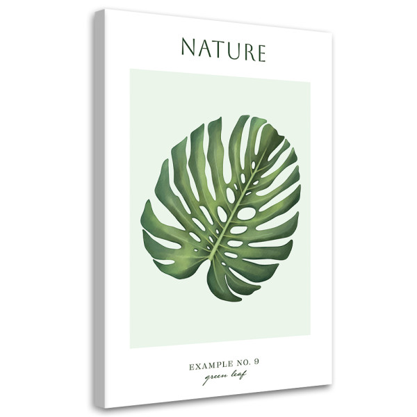 Feeby Obraz na płótnie, Zielony liśc - Natura 80x120 416872