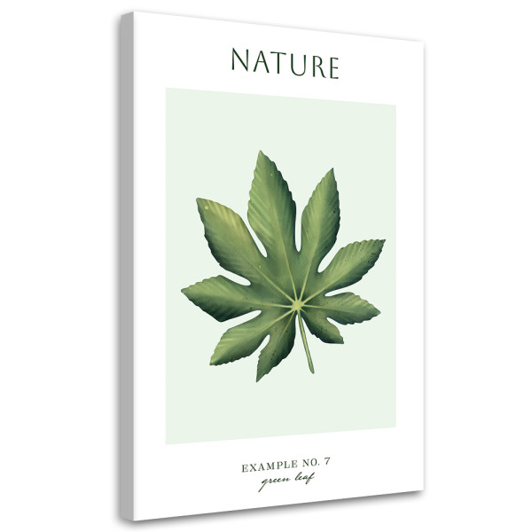 Feeby Obraz na płótnie, Zielony liśc - Natura 80x120 418398