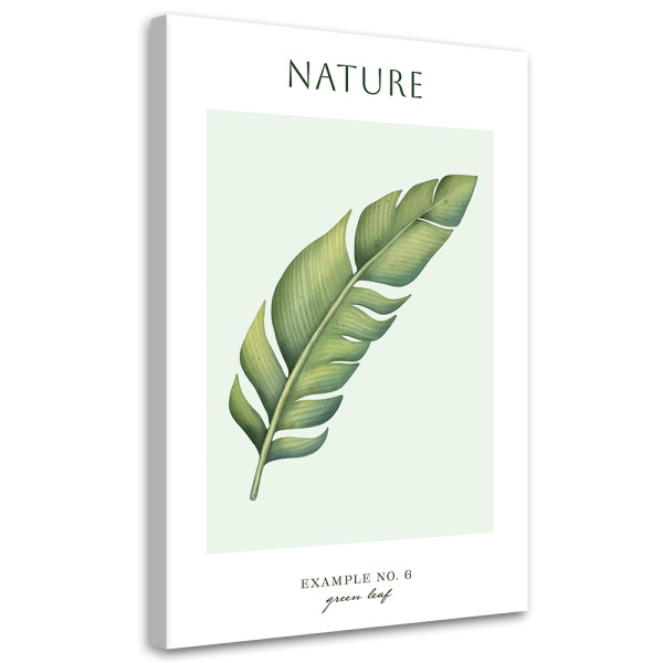 Feeby Obraz na płótnie, Zielony liśc - Natura 80x120 419112