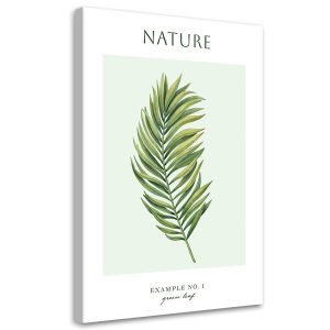 Feeby Obraz na płótnie, Zielony liść – Natura 80×120 415849 Feeby Obraz na płótnie, Zielony liść – Natura 80×120 415849