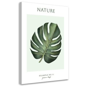 Feeby Obraz na płótnie, Zielony liść – Natura 80×120 419942 Feeby Obraz na płótnie, Zielony liść – Natura 80×120 419942