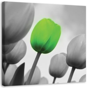 Feeby Obraz na płótnie Zielony tulipan 40×40 409209 Feeby Obraz na płótnie Zielony tulipan 40×40 409209