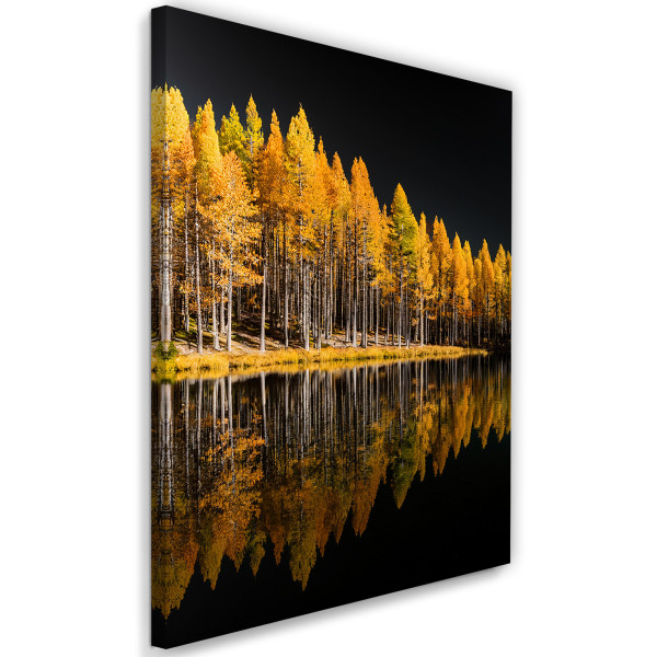 Feeby Obraz na płótnie, Złoty Las Jesień Jezioro Natura Drzewa 60x90 485666