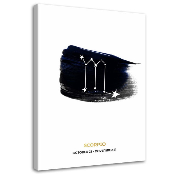 Feeby Obraz na płótnie Znak zodiaku Skorpion 80x120 392712