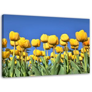 Feeby Obraz na płótnie Żółte tulipany na łące 60×40 409633 Feeby Obraz na płótnie Żółte tulipany na łące 60×40 409633