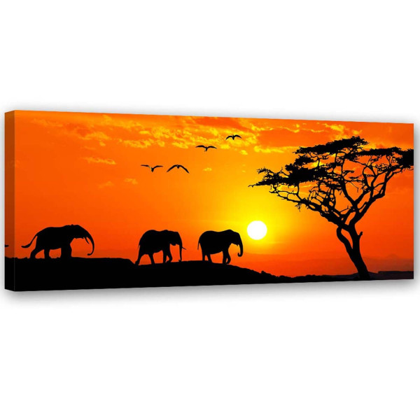 Feeby Obraz, Panorama sawanny w Afryce 90x30 314326