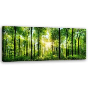 Feeby Obraz Promienie słońca w lesie natura zielony 90×30 318917