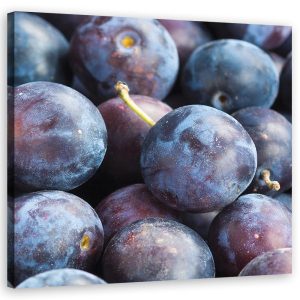 Feeby Obraz, Śliwki owoce makro 50×50 318881 Feeby Obraz, Śliwki owoce makro 50×50 318881