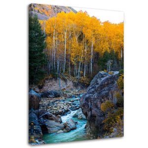 Feeby Obraz Strumień górski skały las drzewa natura 60×90 392704 Feeby Obraz Strumień górski skały las drzewa natura 60×90 392704