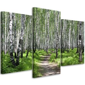 Feeby Obraz tryptyk na płótnie Brzozowy las 60×40 392715 Feeby Obraz tryptyk na płótnie Brzozowy las 60×40 392715