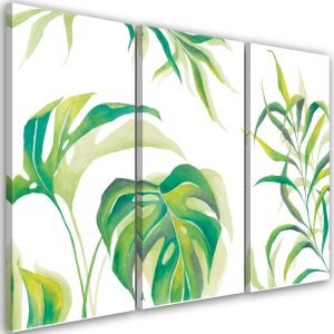 Feeby Obraz tryptyk na płótnie Liście Monstera 415398 Feeby Obraz tryptyk na płótnie Liście Monstera 415398