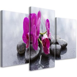 Feeby Obraz tryptyk na płótnie Orchidea i kamienie 150×100 409082 Feeby Obraz tryptyk na płótnie Orchidea i kamienie 150×100 409082