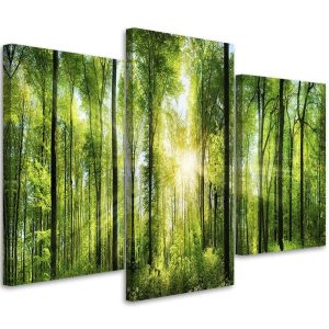 Feeby Obraz tryptyk na płótnie Promienie słońca lase 60×40 392766 Feeby Obraz tryptyk na płótnie Promienie słońca lase 60×40 392766