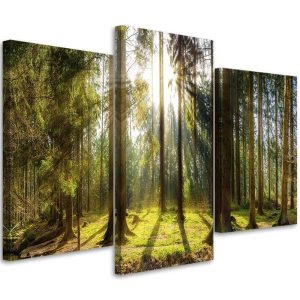 Feeby Obraz tryptyk na płótnie Słoneczny dzień w lesie 90×60 392602 Feeby Obraz tryptyk na płótnie Słoneczny dzień w lesie 90×60 392602