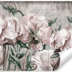 Fototapeta Malowane Peonie 368x280cm 320757