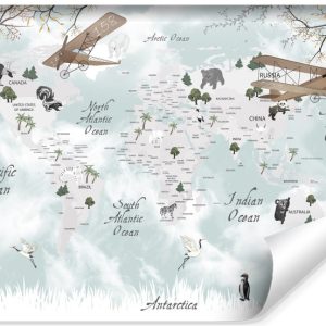 Fototapeta MAPA Zwierzątka Samoloty Niebo 368x280cm 242809