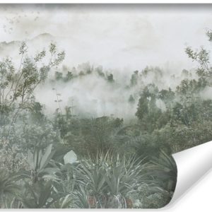 Fototapeta Mgła W Lesie Tropikalnym 368x280cm 172919 Fototapeta Mgła W Lesie Tropikalnym 368x280cm 172919