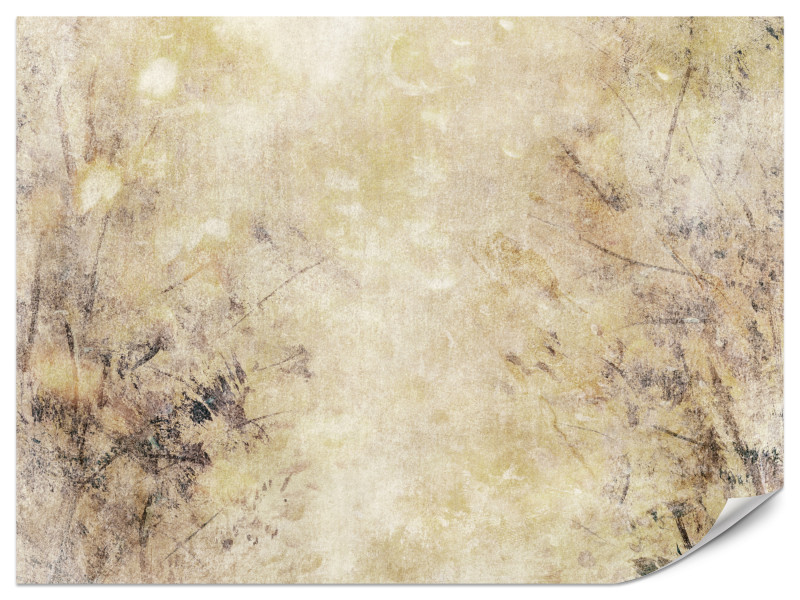 Fototapeta Mgliste kształty 300x210cm 976494