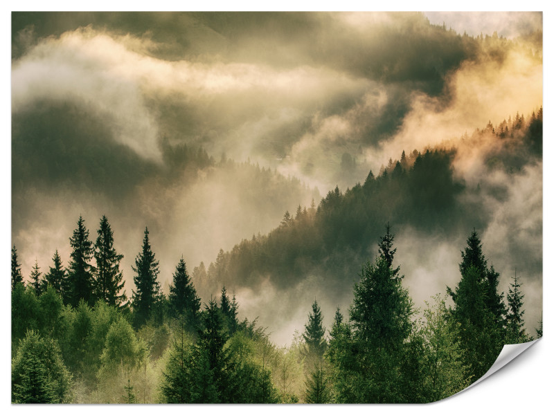 Fototapeta Mglisty krajobraz 250x175cm 985934