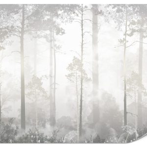 Fototapeta Mglisty las 450x315cm 984307 Fototapeta Mglisty las 450x315cm 984307