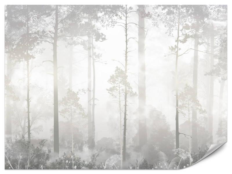 Fototapeta Mglisty las 500x350cm 984091