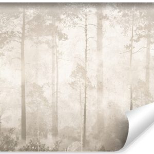 Fototapeta Mglisty Las Na Betonie 208x146cm 311077 Fototapeta Mglisty Las Na Betonie 208x146cm 311077