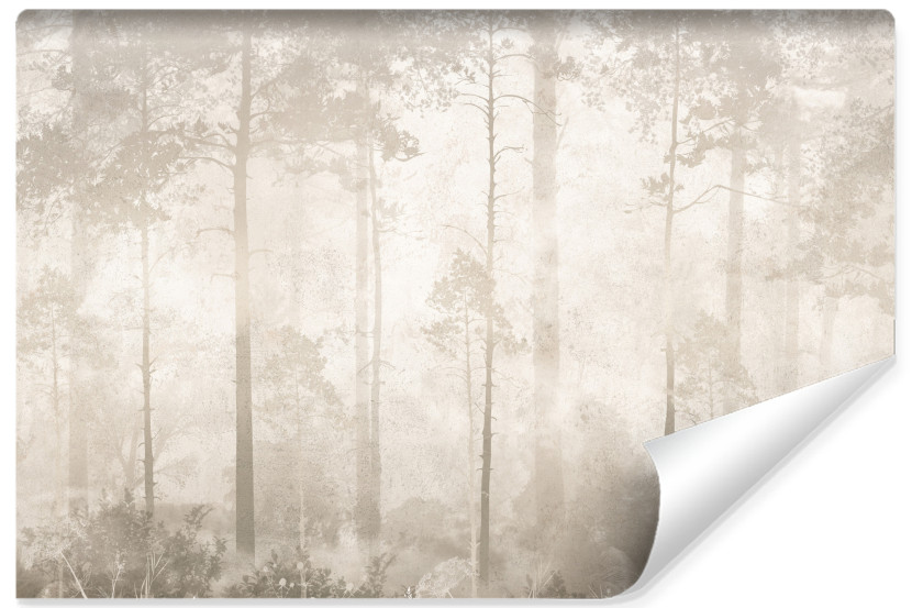 Fototapeta Mglisty Las Na Betonie 450x300cm 311034