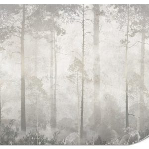 Fototapeta Mglisty las V2 100x70cm 984055