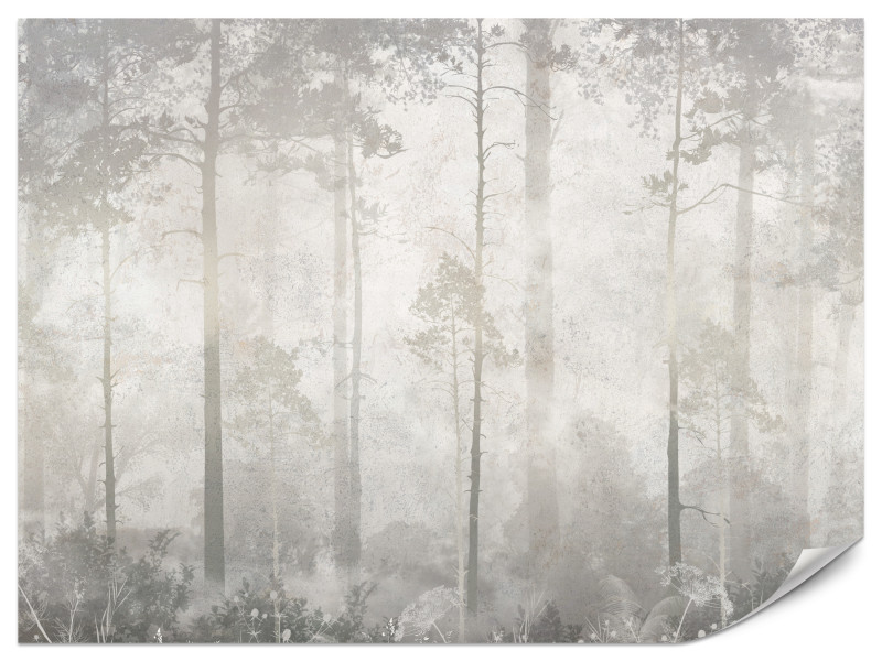 Fototapeta Mglisty las V2 350x256cm 984104