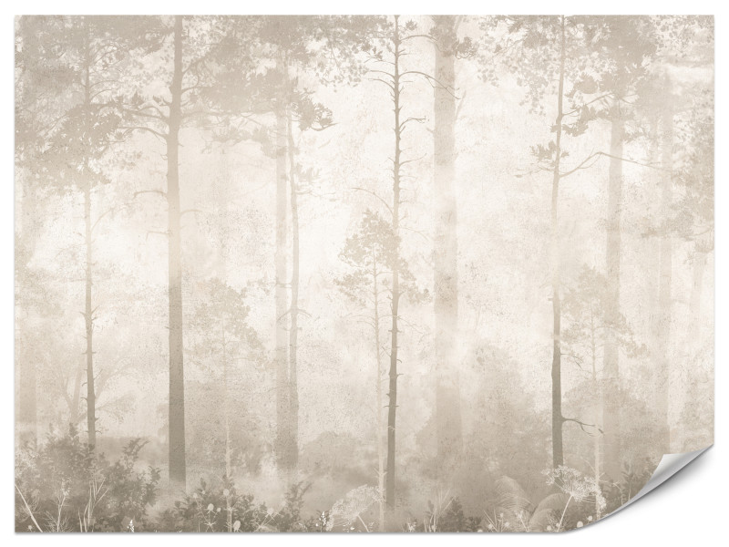 Fototapeta Mglisty las V3 100x70cm 989195