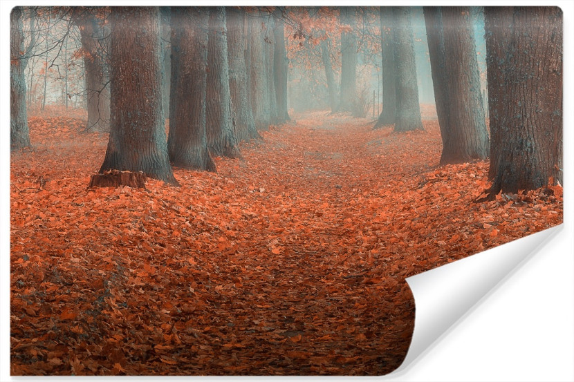 Fototapeta MGLISTY Pejzaż Kolorowe Liście 300x210cm 265033