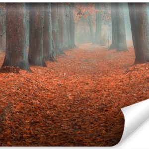 Fototapeta MGLISTY Pejzaż Kolorowe Liście 368x254cm 264941