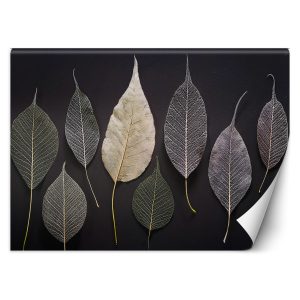 Fototapeta, Minimalizm Liście Glamour Rośliny 559137
