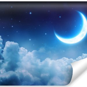 Fototapeta Młodzieżowa KSIĘŻYC Nad Chmurami 3D 315x210cm 264907 Fototapeta Młodzieżowa KSIĘŻYC Nad Chmurami 3D 315x210cm 264907