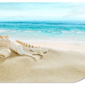 Fototapeta Muszle Na Plaży 150x105cm 983501