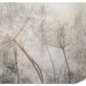 Fototapeta Nasiona dmuchawca na betonie 400x280cm 983320 Fototapeta Nasiona dmuchawca na betonie 400x280cm 983320