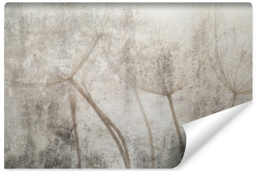 Fototapeta Nasiona Dmuchawca w Stylu Vintage 208x146cm 228236