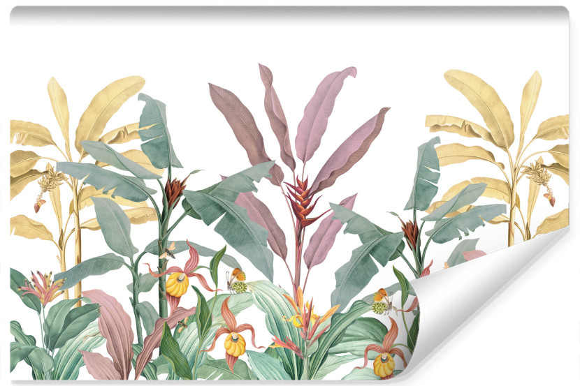 Fototapeta Natura Tropikalne PALMY Dżungla 208x146cm 227549