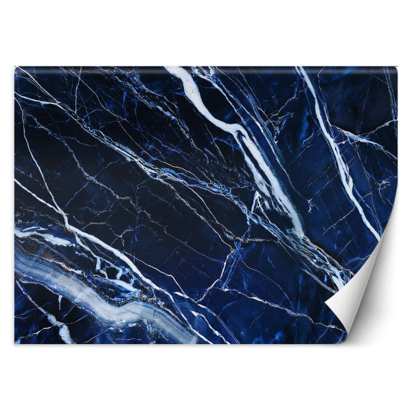 Fototapeta, Niebieski Biały Marmur Tekstura 559135